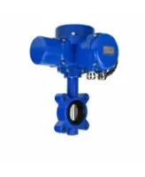 Затвор дисковый поворотный DN.ru WBV1631E-2W-Fb-H Ду125 Ру16 LUG межфланцевый, корпус - чугун QT450, диск - нержавеющая сталь AISI 304, уплотнение - EPDM, с электроприводом QT-N-015M-O2-220VAC-У1 с моментной муфтой и штурвалом