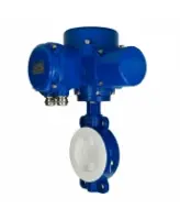 Затвор дисковый поворотный DN.ru WBV3434Pf-2W-Fb-H Ду80 Ру16 корпус - углеродистая сталь WCB, диск - углеродистая сталь WCB, футерованный PTFE, уплотнение - PTFE, с электроприводом DN.ru QT-N-010M-O2-220VAC-У1