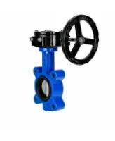 Затвор дисковый поворотный DN.ru WBV1631E-2W-Fb-H Ду125 Ру16 LUG межфланцевый, корпус - чугун QT450, диск - нержавеющая сталь AISI 304, уплотнение - EPDM, с редуктором RDN RQN3-150Z-T24