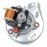 Изображение WhatsApp 2025-08-28 в 16.27.14_d335f27d