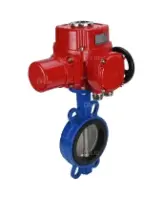 Затвор дисковый поворотный DN.ru WBV1432N-2W-Fb-H Ду100 Ру16, корпус - чугун GGG50, диск - нержавеющая сталь 316L, уплотнение - NBR, с электроприводом DN.RU QT-EX-010M-O2-220VAC-У1