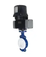Затвор дисковый поворотный DN.ru WBV3434Pf-2W-Fb-H Ду80 Ру16 корпус - углеродистая сталь WCB, диск - углеродистая сталь WCB, футерованный PTFE, уплотнение - PTFE, с электроприводом четвертьоборотным DN.ru QTSA-N-007EM-O0-220VAC с пружинным возвратом