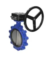 Затвор дисковый поворотный DN.ru WBV1631E-2W-Fb-R Ду200 Ру16 LUG межфланцевый, корпус - чугун QT450, диск - нержавеющая сталь 304, уплотнение - EPDM, с редуктором