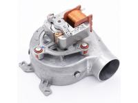 data-00000000001-0020118666-1-800x600