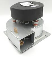 photo_2026-01-12_09-09-01