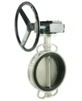 Затвор дисковый поворотный DN.ru WBV3232E-2W-Fb-H Ду65 Ру16 межфланцевый, корпус - нержавеющая сталь 316L, диск - нержавеющая сталь 316L, уплотнение - EPDM, с редуктором RDN RQN1-150Z-T24