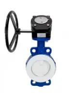 Затвор дисковый поворотный DN.ru WBV3434Pf-2W-Fb-R Ду250 Ру16 корпус - углеродистая сталь WCB, диск - углеродистая сталь WCB, футерованный PTFE, уплотнение - PTFE, с редуктором DN.ru RDN RQN5-500Z-T30