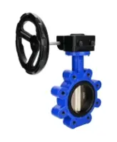 Затвор дисковый поворотный DN.ru WBV1616E-2W-Fb-H Ду100 Ру16 LUG межфланцевый, корпус - чугун QT450, диск - чугун QT450, уплотнение - EPDM, с редуктором HAM RQN1-180Z-T40