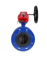 Затвор дисковый поворотный DN.ru WBV1331E-2W-F-H Ду125 Ру16 фланцевый, корпус - чугун GGG40, диск - нержавеющая сталь 304, уплотнение - EPDM, с редуктором DN.ru HGBF RQN2-320Z