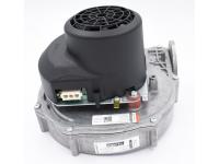 data-000000111111-710754100-3-800x600