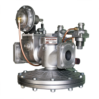 rdg-50n.jpg