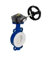 Затвор дисковый поворотный DN.ru WBV3434Pf-2W-Fb-R Ду250 Ру16 корпус - углеродистая сталь WCB, диск - углеродистая сталь WCB, футерованный PTFE, уплотнение - PTFE, с редуктором DN.ru HAM RQN4-675Z-T36