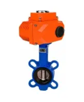 Затвор дисковый поворотный DN.ru WBV1132N-2W-Fb-H Ду125 Ру16, корпус -чугун GG25, диск - нержавеющая сталь 316L, уплотнение - NBR, с 1/4-оборотным электроприводом QT-N-020EM-O1-220VAC-У1 220В HARK
