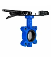 Затвор дисковый поворотный DN.ru WBV1631E-2W-Fb-H Ду125 Ру16 LUG межфланцевый, корпус - чугун QT450, диск - нержавеющая сталь AISI 304, уплотнение - EPDM, с рукояткой и двумя концевыми датчиками LS-103 250В