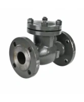 Клапан обратный 19с53нж DN.ru VCT2121-F Ду100 Ру40 фланцевый, поворотный, корпус - низкоуглеродистая сталь, затвор - низкоуглеродистая сталь