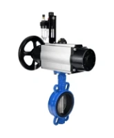 Затвор дисковый поворотный DN.ru WBV1432N-2W-Fb-H Ду125 Ру16, корпус - чугун GGG50, диск - нержавеющая сталь 316L, уплотнение - NBR, с пневмоприводом DN.ru PA-DA-105-1 двойного действия, пневмораспределителем 4M310-08 AC220V, БПВ AFC2000