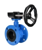 Затвор дисковый поворотный DN.ru WBV1313E-2W-F-H Ду100 Ру16 фланцевый, корпус - чугун GGG40, диск - чугун GGG40, уплотнение - EPDM, с редуктором DN.ru HAM RQN1-180Z-T40