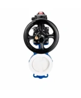 Затвор дисковый поворотный DN.ru WBV3434Pf-2W-Fb-R Ду200 Ру16, корпус - углеродистая сталь WCB, диск - углеродистая сталь WCB, футерованный PTFE, уплотнение - PTFE, с пневмоприводом PA-DA-105-1 и БКВ APL-210N