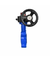 Затвор дисковый поворотный DN.ru WBV1616N-2W-Fb-H Ду80 Ру16 LUG межфланцевый, корпус - чугун QT450, диск - чугун QT450, уплотнение - NBR, с редуктором HGB RQN1-180Z