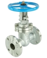 Задвижка клиновая 30нж64нж DN.ru GVWR3131M-2W-F-S Ду50 Ру25 фланцевая, корпус - нержавеющая сталь 304, материал клина - нержавеющая сталь 304, уплотнение - металл, со штурвалом GAIR