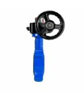 Затвор дисковый поворотный DN.ru WBV1631E-2W-Fb-H Ду100 Ру16 LUG межфланцевый, корпус - чугун QT450, диск - нержавеющая сталь AISI 304, уплотнение - EPDM, с редуктором HGB RQN1-180Z