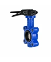 Затвор дисковый поворотный DN.ru WBV1616E-2W-Fb-H Ду100 Ру16 LUG межфланцевый, корпус - чугун QT450, диск - чугун QT450, уплотнение - EPDM, с рукояткой и двумя концевыми датчиками LS-103 250В