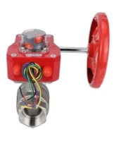 Кран шаровой DN.ru BV3232P(2pc)-FP-T-ISO-H 1 1/2″ Ду40 Ру63 полнопроходной двухходовой, нержавеющая сталь SS316, внутренняя резьба, уплотнение - PTFE, с редуктором DN.ru HGBF RQN1-180Z