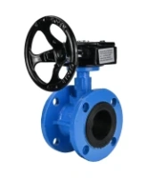 Затвор дисковый поворотный DN.ru WBV1313E-2W-F-H Ду100 Ру16 фланцевый, корпус - чугун GGG40, диск - чугун GGG40, уплотнение - EPDM, с редуктором DN.ru RDN RQN3-150Z-T24