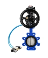Затвор дисковый поворотный DN.ru WBV1631E-2W-Fb-H Ду125 Ру16 LUG корпус - чугун QT450, диск - нержавеющая сталь 304, уплотнение - EPDM, с пневмоприводом PA-DA-105-1, пневмораспределителем 4V320-10 AC220V и БКВ APL-510N EX