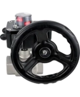 Кран шаровой DN.ru BV3232P(2pc)-FP-T-ISO-H 1 1/2″ Ду40 Ру63 полнопроходной двухходовой, нержавеющая сталь SS316, внутренняя резьба, уплотнение - PTFE, с редуктором DN.ru HGB RQN1-180Z