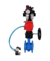 Затвор дисковый поворотный DN.ru WBV1313E-2W-F-H Ду100 Ру16 фланцевый, корпус - чугун GGG40, диск - чугун GGG40, EPDM, с пневмоприводом DN.ru PA-DA-105, пневмораспределителем 4V320-08 AC220V, БКВ APL-410N EX, дублером MON1-250-T26-ISO и БПВ AFC2000