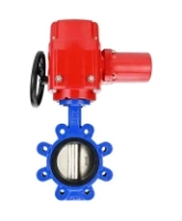 Затвор дисковый поворотный DN.ru WBV1631E-2W-Fb-H Ду125 Ру16 LUG межфланцевый, корпус - чугун QT450, диск - нержавеющая сталь AISI 304, уплотнение - EPDM, с электроприводом QT-EX-015M-O2-220VAC-У1 с моментной муфтой и штурвалом