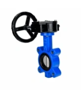 Затвор дисковый поворотный DN.ru WBV1631E-2W-Fb-H Ду125 Ру16 LUG межфланцевый, корпус - чугун QT450, диск - нержавеющая сталь AISI 304, уплотнение - EPDM, с редуктором RDN RQN3-150Z-T24