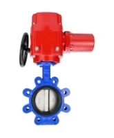 Затвор дисковый поворотный DN.ru WBV1616E-2W-Fb-H Ду100 Ру16 LUG межфланцевый, корпус - чугун QT450, диск - чугун QT450, уплотнение - EPDM, с электроприводом QT-EX-010M-O2-220VAC-У1 с моментной муфтой и штурвалом