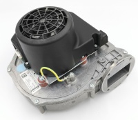 photo_2026-02-03_14-52-34