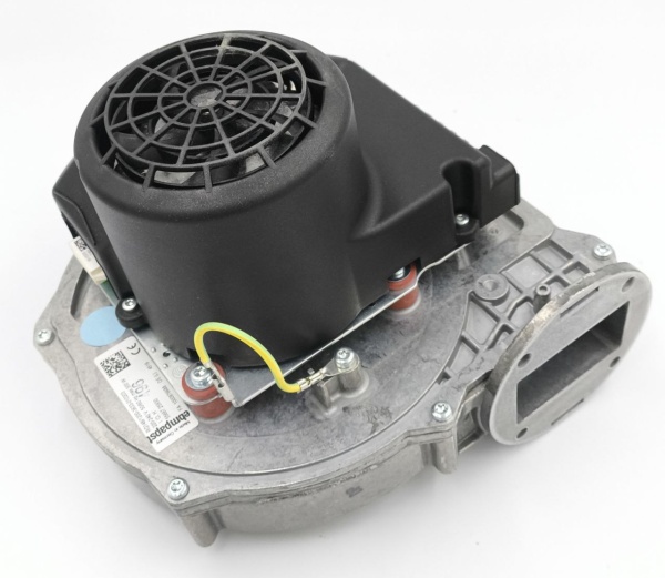 photo_2026-02-03_14-52-34