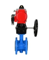 Затвор дисковый поворотный DN.ru WBV1313E-2W-F-H Ду100 Ру16 фланцевый, корпус - чугун GGG40, диск - чугун GGG40, EPDM, с пневмоприводом DN.ru PA-DA-105, пневмораспределителем DN.ru 4M310-08 AC220V и ручным дублером DN.ru MON1-250-T26-ISO