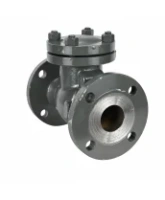 Клапан обратный 19с53нж DN.ru VCT2121-F Ду100 Ру40 фланцевый, поворотный, корпус - низкоуглеродистая сталь, затвор - низкоуглеродистая сталь