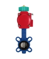 Затвор дисковый поворотный DN.ru WBV1132N-2W-Fb-H Ду125 Ру16 корпус - чугун GG25, диск - нержавеющая сталь 316L, уплотнение - NBR, с пневмоприводом PA-DA-105 и магнитным переключателем ALS200D