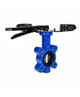 Затвор дисковый поворотный DN.ru WBV1616E-2W-Fb-H Ду100 Ру16 LUG межфланцевый, корпус - чугун QT450, диск - чугун QT450, уплотнение - EPDM, с рукояткой и двумя концевыми датчиками LS-103 250В