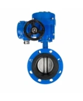 Затвор дисковый поворотный DN.ru WBV1331E-2W-F-H Ду125 Ру16 фланцевый, корпус - чугун GGG40, диск - нержавеющая сталь 304, уплотнение - EPDM, с электроприводом QT-N-030M-O2-220VAC-У1 с моментной муфтой 220В