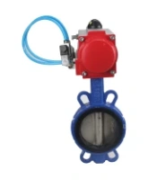 Затвор дисковый поворотный DN.ru WBV1413E-2W-Fb-H Ду100 Ру16, корпус - чугун GGG50, диск - чугун GGG40, уплотнение - EPDM, с пневмоприводом DN.ru PA-DA-083 двойного действия, с пневмораспределителем 4V320-08 AC220V