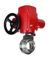 Затвор дисковый поворотный DN.ru WBV3131E-2W-T-H Ду100 Ру10 резьбовой, корпус - пищевая нержавеющая сталь 304, уплотнение - EPDM, с электроприводом QT-EX-005M-O2-380VAC-У1 с моментной муфтой и штурвалом