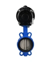 Затвор дисковый поворотный DN.ru WBV1432E-2W-Fb-H Ду150 Ру16, корпус - чугун GGG50, диск - нержавеющая сталь 316L, уплотнение - EPDM, с пневмоприводом DN.ru PA-DA-105-1