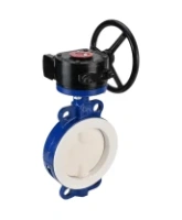 Затвор дисковый поворотный DN.ru WBV3434Pf-2W-Fb-R Ду300 Ру16 корпус - углеродистая сталь WCB, диск - углеродистая сталь WCB, футерованный PTFE, уплотнение - PTFE, межфланцевый, с редуктором