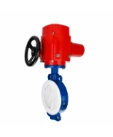 Затвор дисковый поворотный DN.ru WBV3434Pf-2W-Fb-R Ду150 Ру16, корпус - углеродистая сталь WCB, диск - углеродистая сталь WCB, футерованный PTFE, уплотнение - PTFE, с электроприводом QT-EX-020M-O2-220VAC-У1
