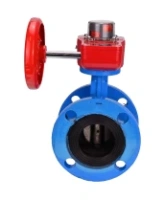 Затвор дисковый поворотный DN.ru WBV1313E-2W-F-H Ду100 Ру16 фланцевый, корпус - чугун GGG40, диск - чугун GGG40, уплотнение - EPDM, с редуктором DN.ru HGBF RQN1-180Z