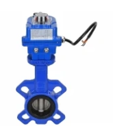 Затвор дисковый поворотный DN.ru WBV1432E-2W-Fb-H Ду40 Ру16, корпус - чугун GGG50, диск - нержавеющая сталь 316L, уплотнение - EPDM, с электроприводом DN.ru QT-N-003EM-O1-220VAC-У1 blue 220В