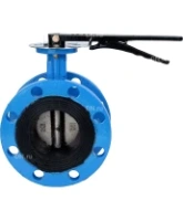 Затвор дисковый поворотный DN.ru WBV1331E-2W-F-H Ду125 Ру16 фланцевый, корпус - чугун GGG40, диск - нержавеющая сталь 304, уплотнение - EPDM, с рукояткой, с ISO-фланцем F07, квадрат штока 14х14