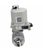 Кран шаровой DN.ru BV3232P(2pc)-FP-T-ISO-H Ду25 Ру63 полнопроходной двухходовой, нержавеющая сталь SS316, внутренняя резьба, уплотнение - PTFE, с электроприводом ГЗ-ОФ-25/5,5К 24В
